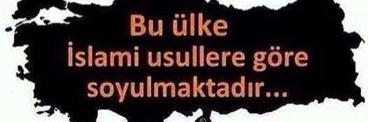 oyle_sandim's profile banner image