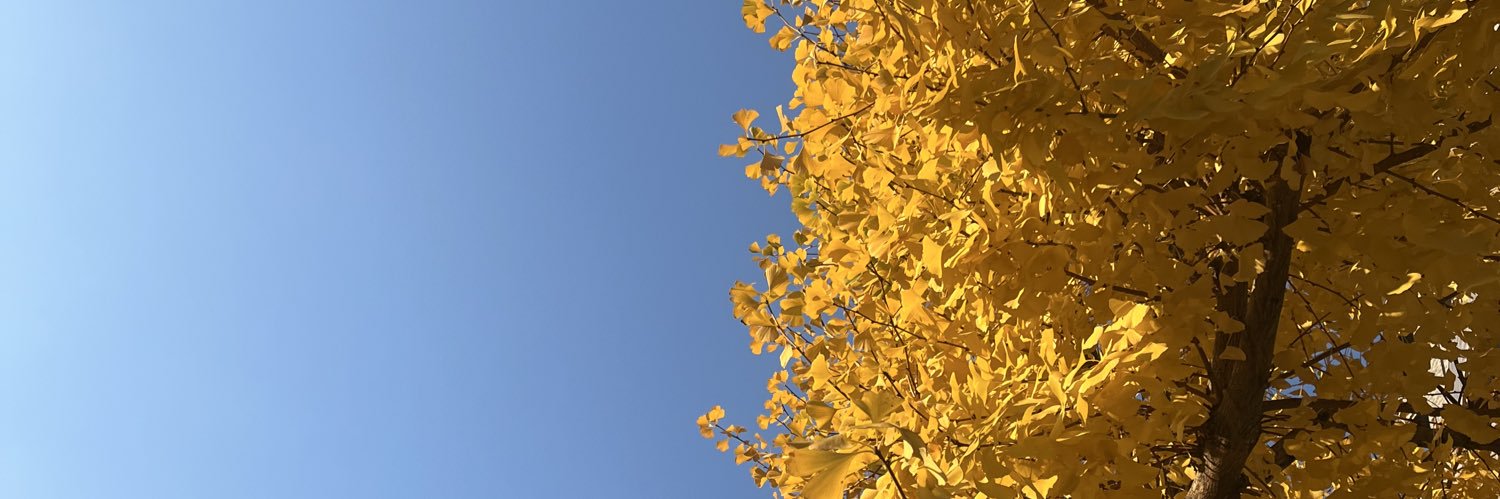 tear182's profile banner image
