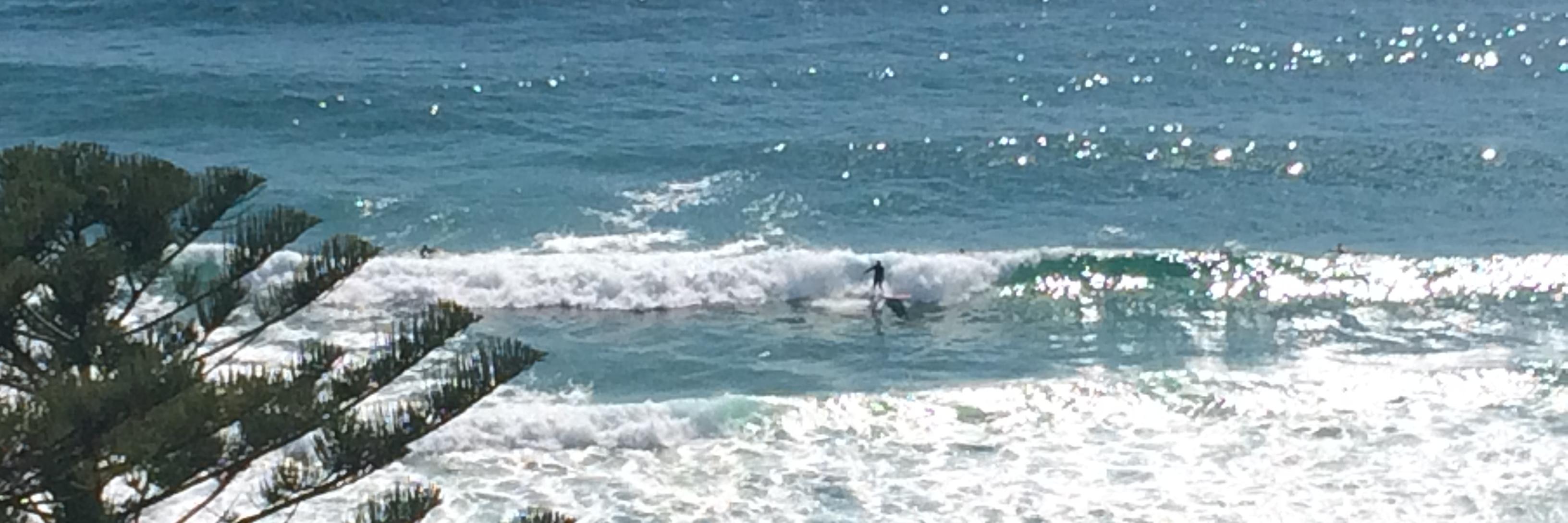 BlinkSurf's profile banner image