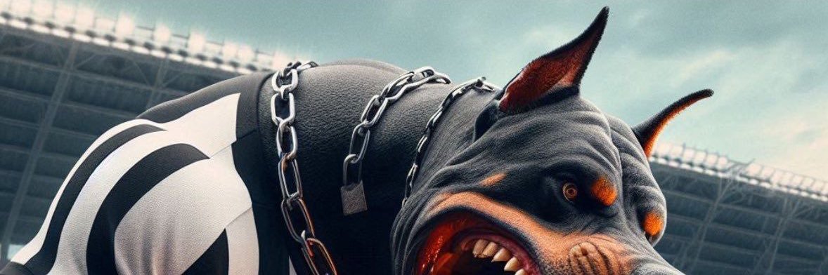 carvalhosvitor's profile banner image