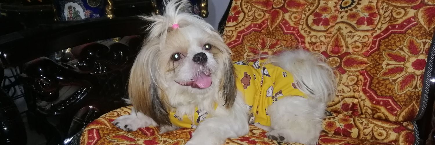 ingrid_mariee's profile banner image