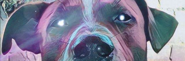 irob21_'s profile banner image