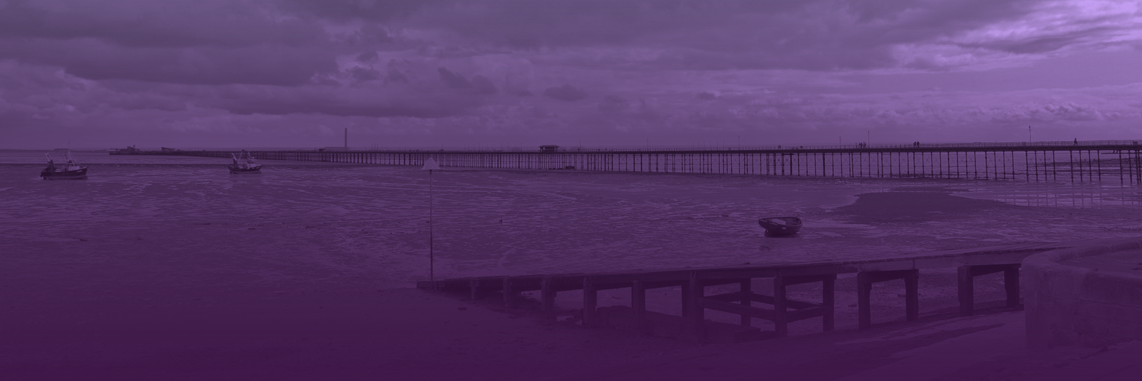 ukipsouthend's profile banner image