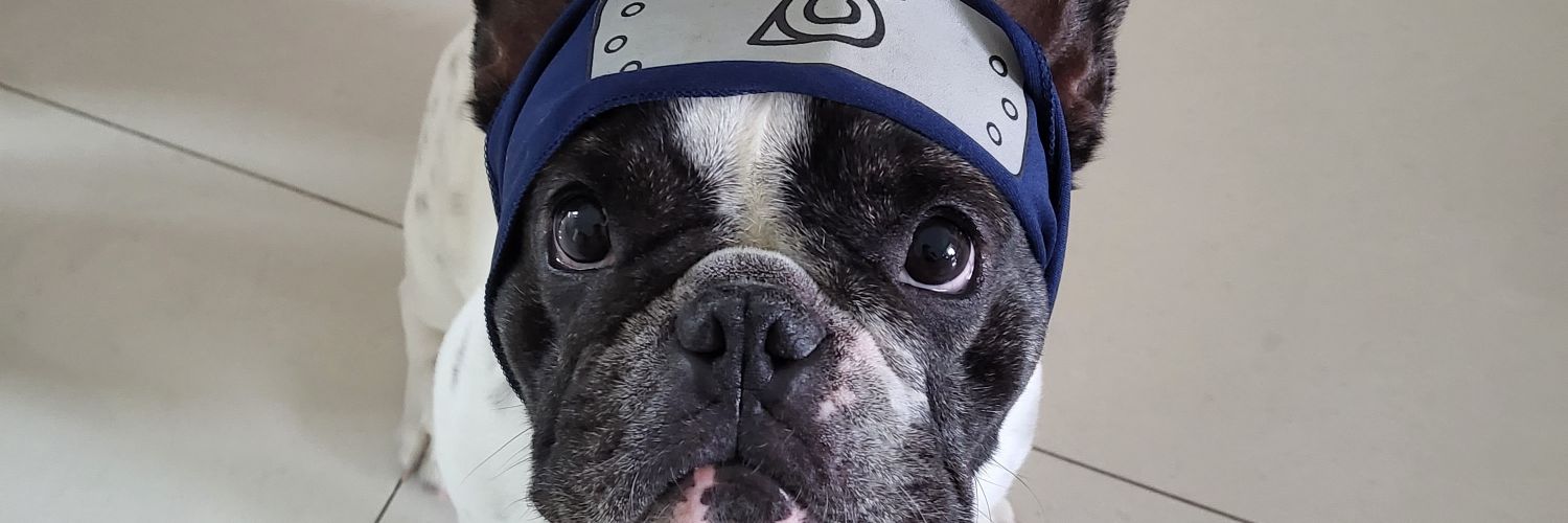 EnzoSimoes_12's profile banner image