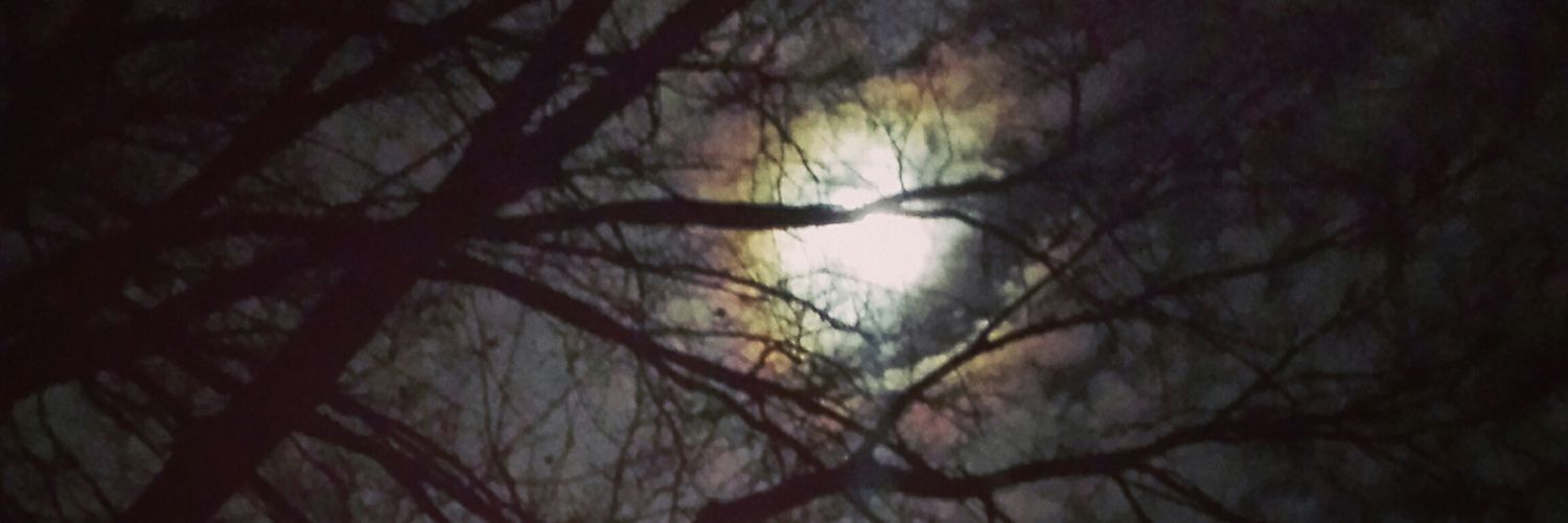 ktboo82's profile banner image