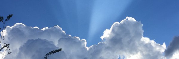 egmackey Profile Banner