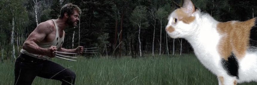 milflogan's profile banner image