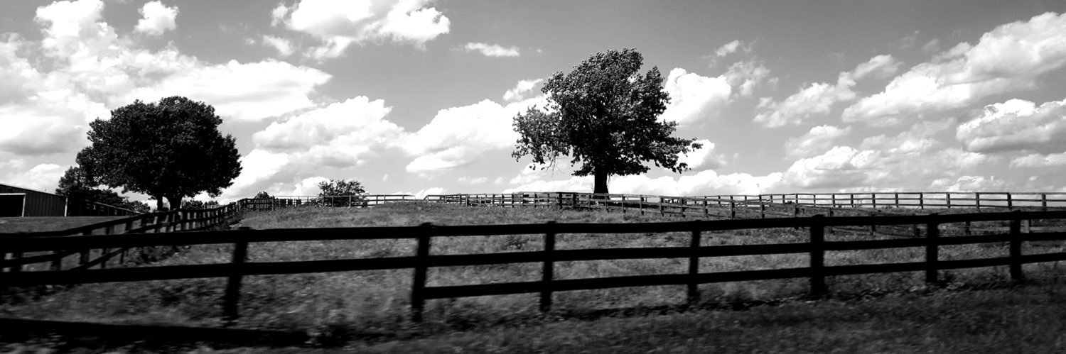 Andregreen99's profile banner image