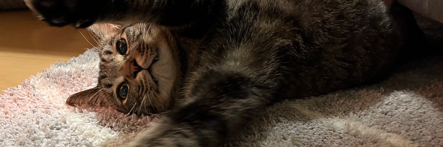 e__ch___o__'s profile banner image