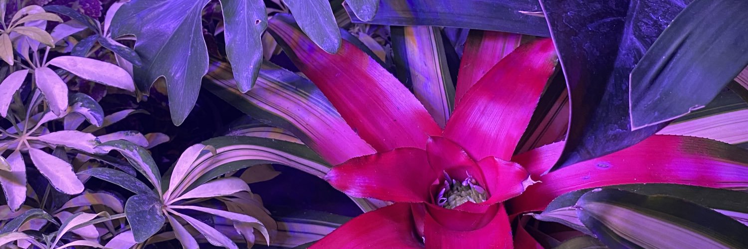 EliMirvs_'s profile banner image