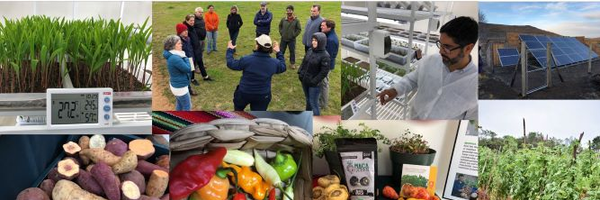 agrifood4future Profile Banner