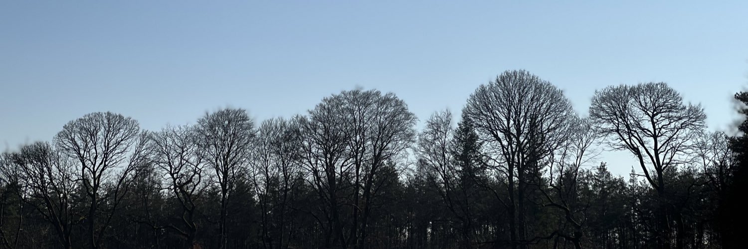 AraQNem's profile banner image