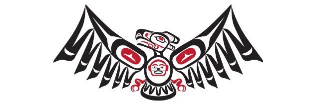 HDSMS Skyhawks banner