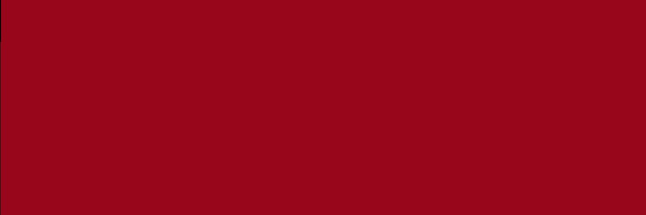 Cooperativa Lambaré Ltda. banner