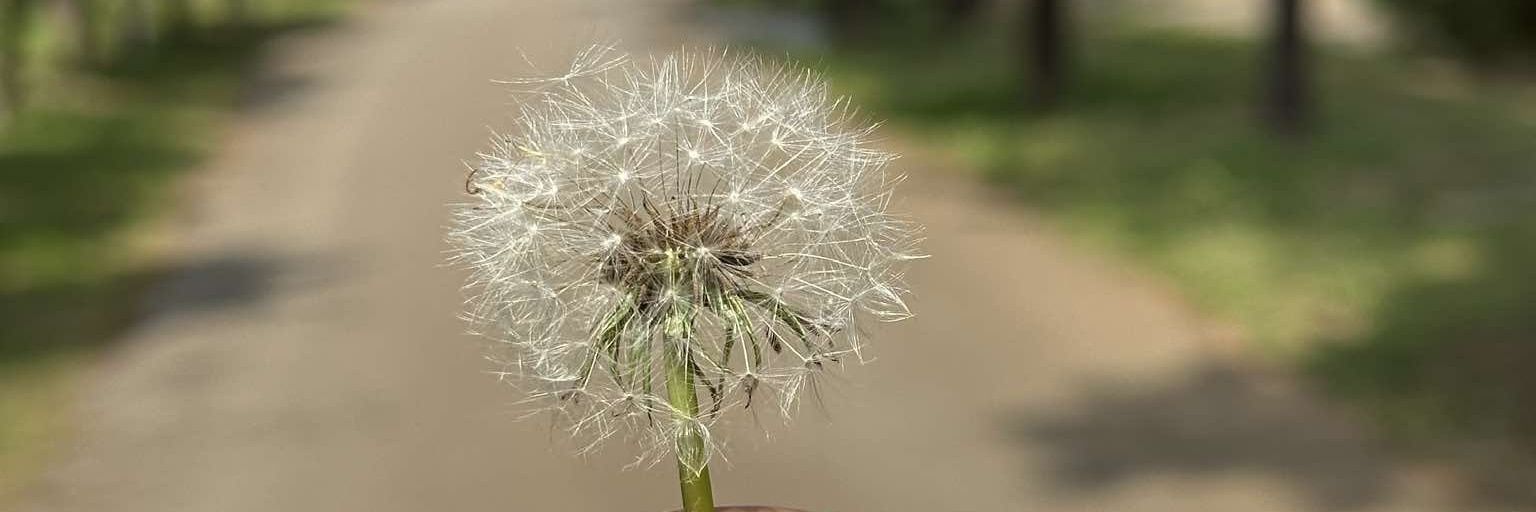 _ucpebii's profile banner image