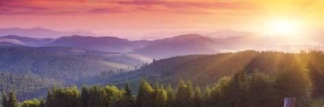 psr33065's profile banner image