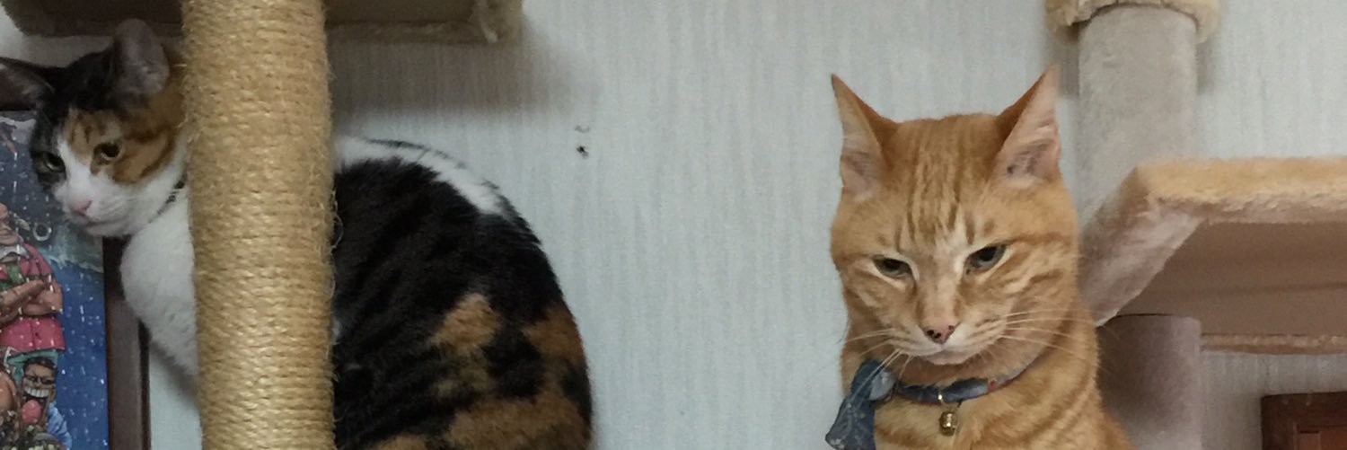 taka5764's profile banner image