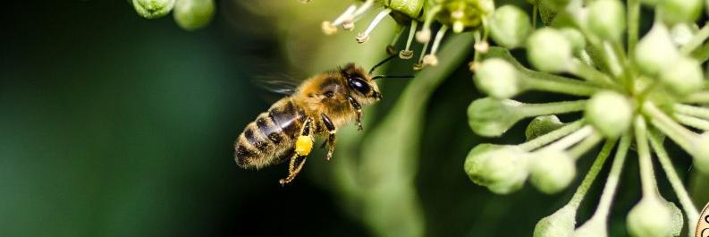 Thelondonbee's profile banner image