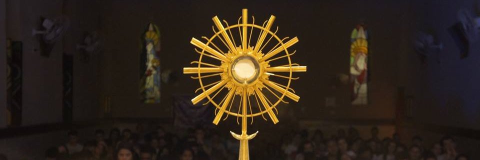 pedrobarbosaof's profile banner image