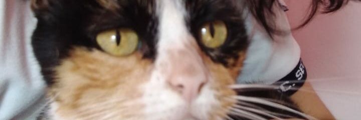 Palmita94Who's profile banner image