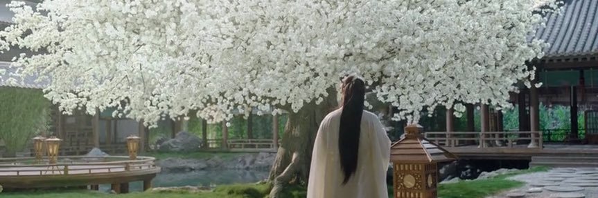 myy_me's profile banner image