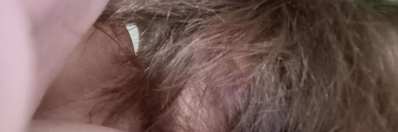 J. Augusto Passow V. banner