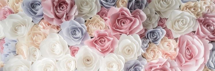 Angie_12blue's profile banner image