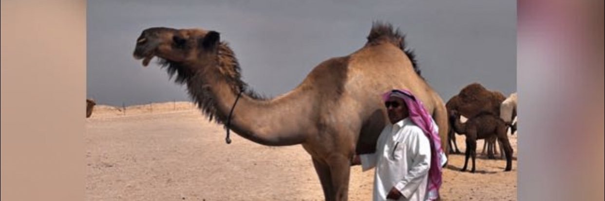 مشعل الدوسري banner