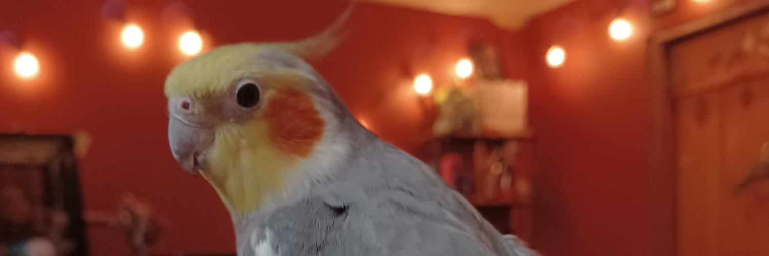 Maymaylee69's profile banner image