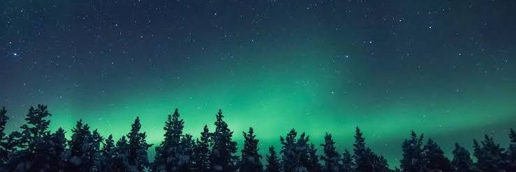 AvarnitaMathur's profile banner image