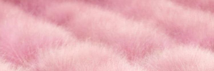 ramcoulee's profile banner image