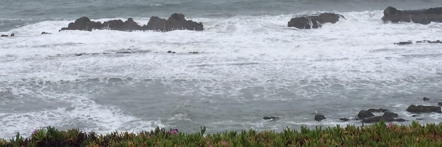 MuellerLisa6's profile banner image