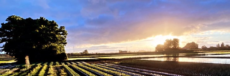 _agripeace's profile banner image