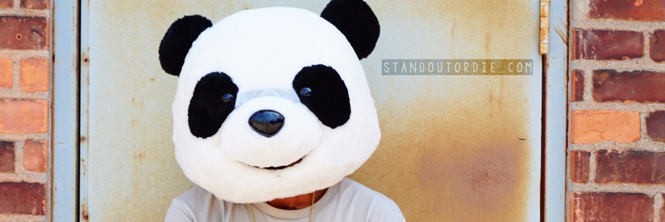 StandOutOrDie's profile banner image