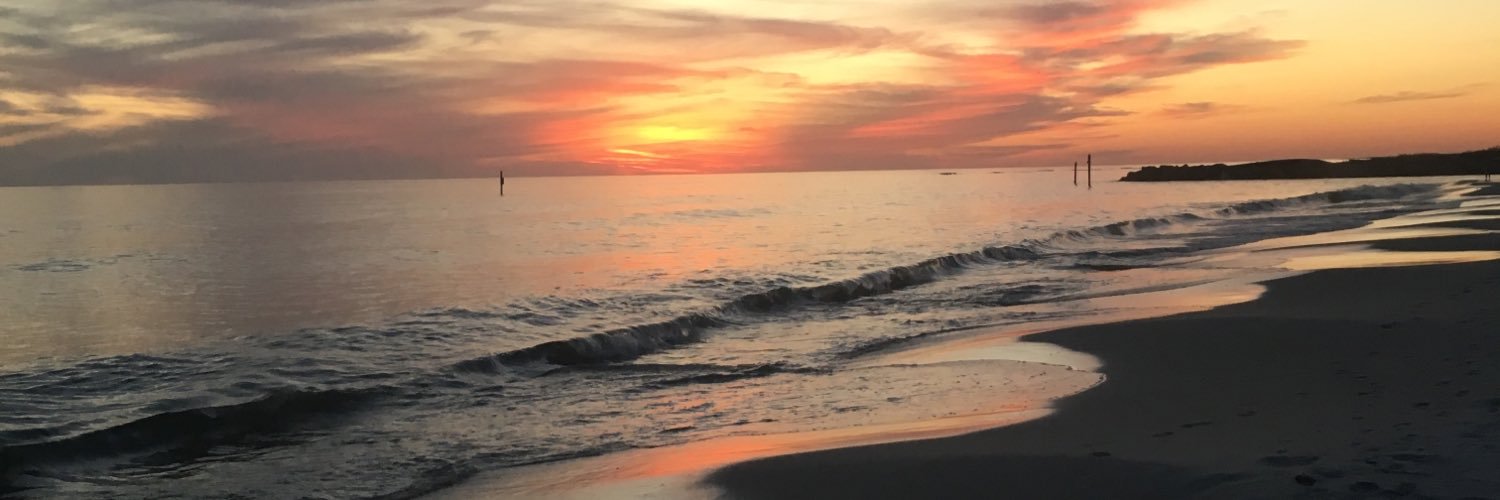 jessjherrington's profile banner image