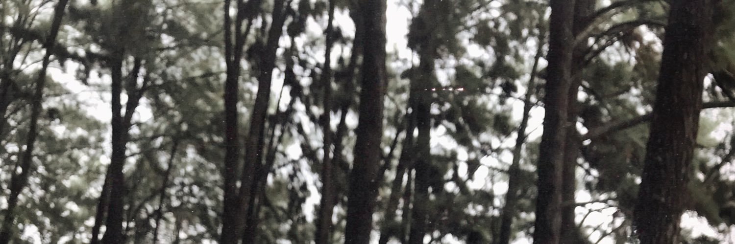 urfavmemorries's profile banner image