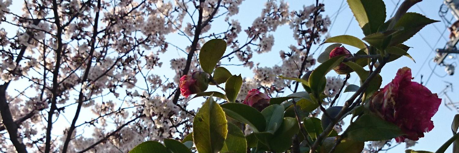 andon03's profile banner image