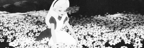 ValnHeredia's profile banner image