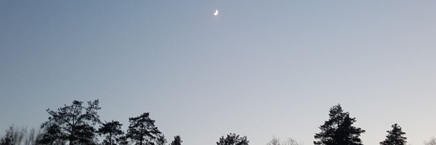 mariatempl's profile banner image