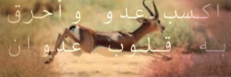9ale7_Q's profile banner image