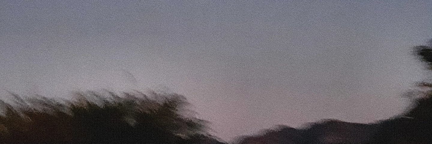 99iggle's profile banner image
