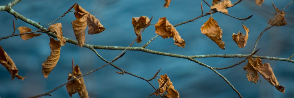 studiomag's profile banner image