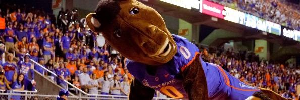 notBusterBronco's profile banner image