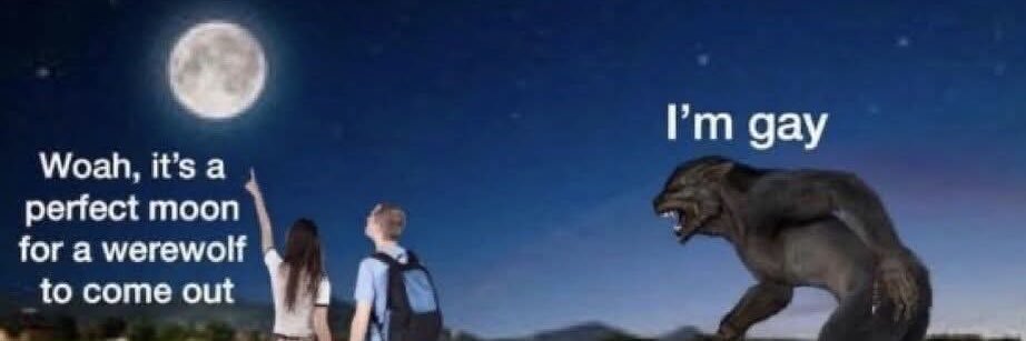 Ashkeyr 🏳️‍⚧️ banner