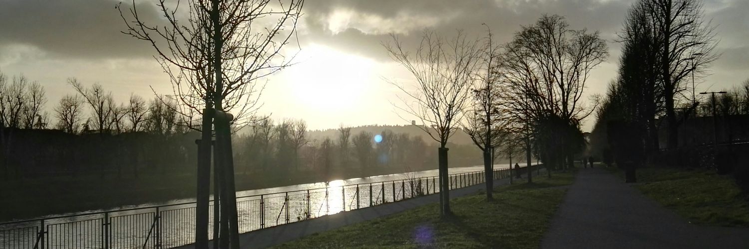 ornella balbo banner