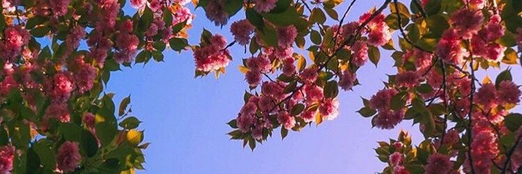 SwetoforN's profile banner image