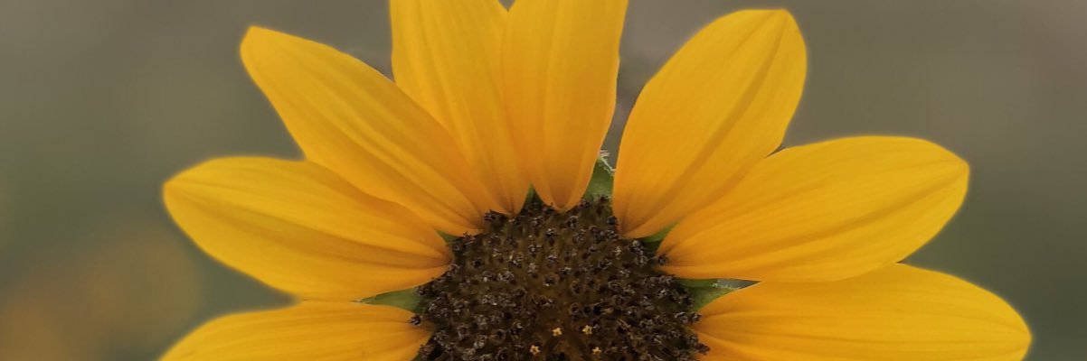 leahhhmd's profile banner image