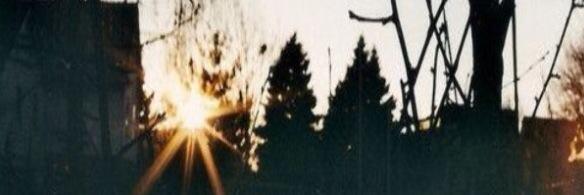 CassidyNewburn's profile banner image