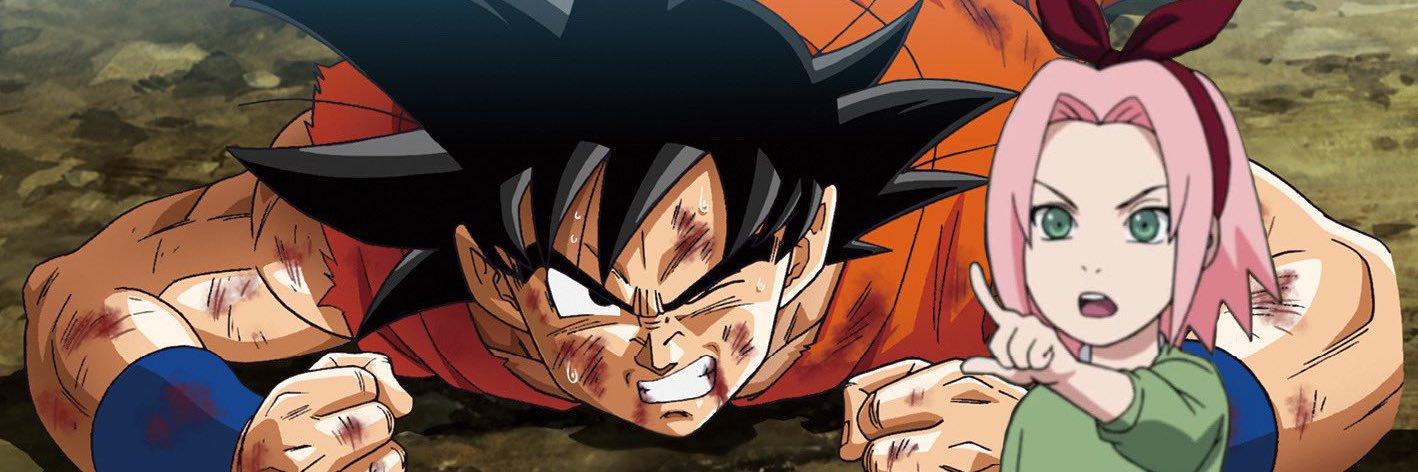 pipi chata banner