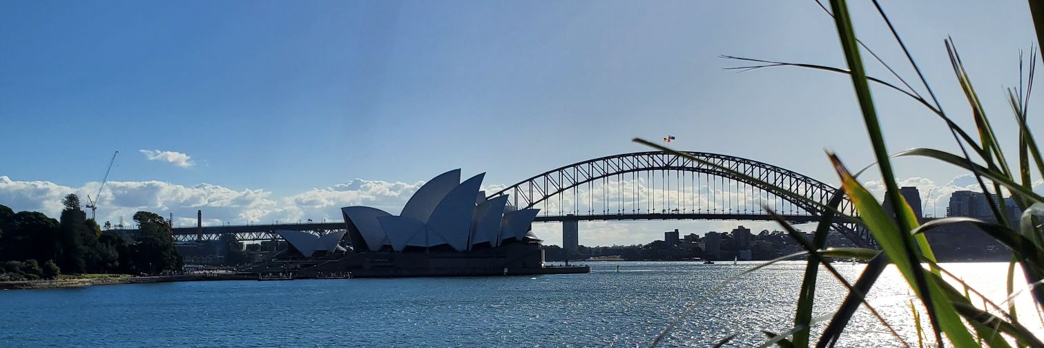 safooratariq's profile banner image